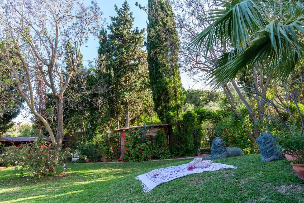 Il Giardino Di Michela By Domusicily Villa Mondello Dış mekan fotoğraf