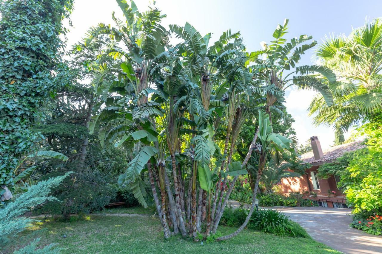 Il Giardino Di Michela By Domusicily Villa Mondello Dış mekan fotoğraf